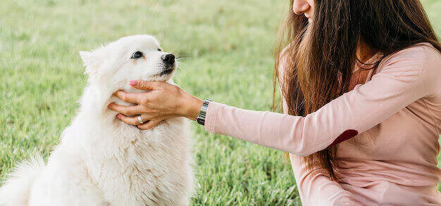 Vet Lab Diagnostic